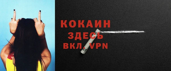 индика Мегион