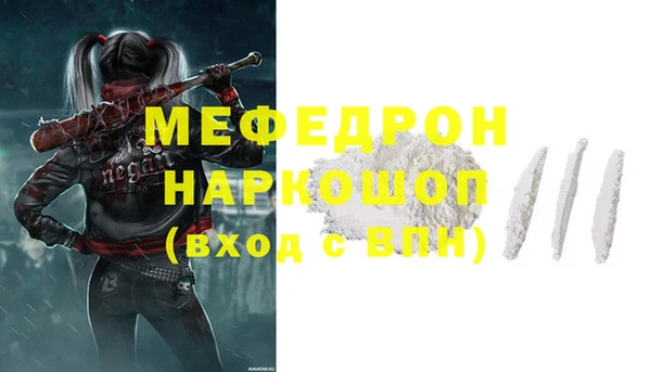 индика Мегион