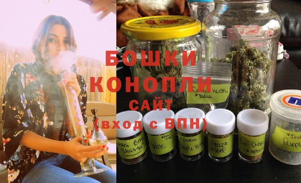 индика Мегион