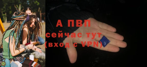 индика Мегион