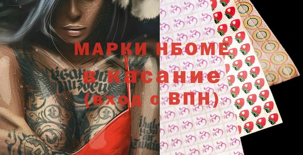 индика Мегион