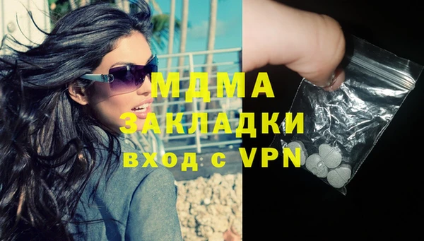 индика Мегион