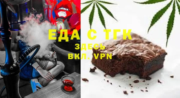 индика Мегион