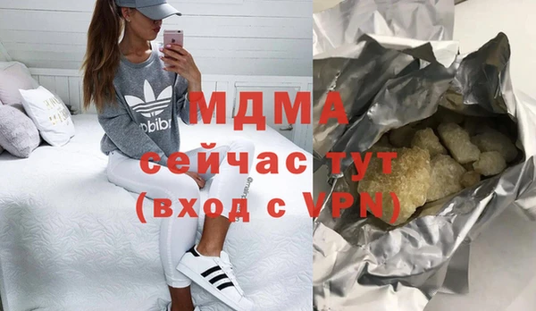индика Мегион