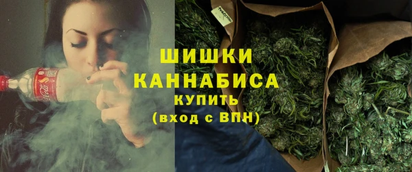 индика Мегион