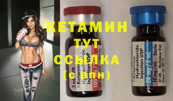 индика Мегион